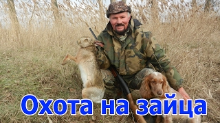 Охота на зайца. Hunting for hares