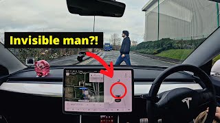 Is Tesla autopilot faulty? Why can't it see you?