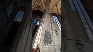 St Stephen’s Cathedral, Vienna Austria #shorts