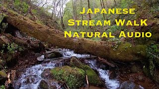 Walking a Japanese forest stream with natural audio - no voice over.