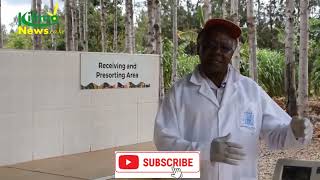 Mango Processing Company in Embu || The Start Up || Group Horticulture