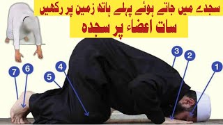 سجدے کی اہمیت || سجدے کا طریقہ #نماز #صلاة #سجده