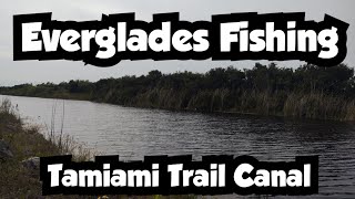 Canal Fishing in the Everglades | Tamiami Trail