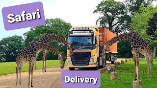 Safari Delivery | Paid for these views