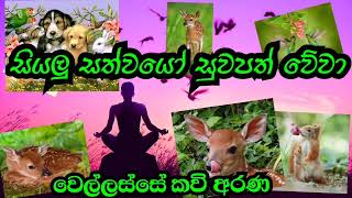 Meditation | මෛත්‍රී භාවනාව