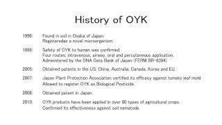 Safety proven microorganism "OYK" - History of OYK