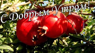 С ДОБРЫМ УТРОМ !🌼Желаю Самого Доброго Солнечного Утра!🌼  Шикарная Музыкальная открытка