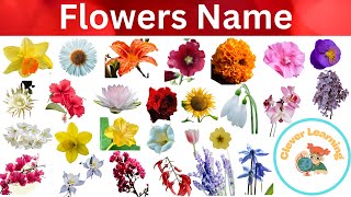 Flower name with picture in English