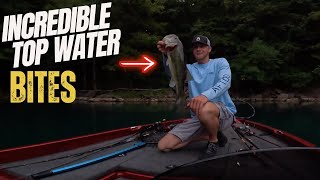 Bass fishing lake Cherokee and Norris dam.