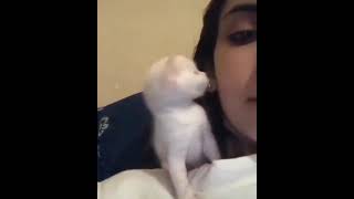 New cute pet lovely kissing