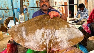 KASIMEDU SPEED SELVAM STINGRAY FISH CUTTING VIDEO / cutting focus