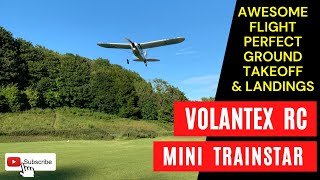 Volantex Mini Transter Great Easy To Fly Beginner RC Plane Under $80