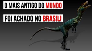 DINOSSAUROS BRASILEIROS! Conheça 8 dinossauros que foram achados no Brasil!