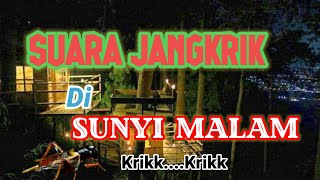 SUARA JANGKRIK MERDU DI MALAM HARI