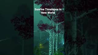 Sunrise Timelapse of Edengrove in New World