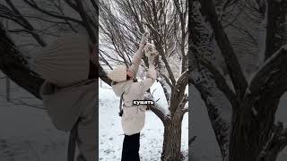 Этажи развесили кормушки, чтобы птицам было проще перенести холода😍 #shortvideo #тренды #юмор