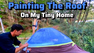 Painting The Roof Of My Tiny Home On The Side Of A Road DIY Vanlife Projects (Mistakes Were Made)