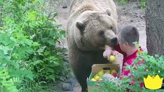 Точно Андрей мёдом намазан ❤️🐻😁 Медведь Мансур