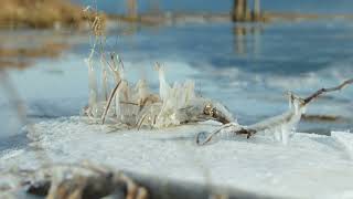 Filming Ice Formations on Pitt River - BMP4K + Canon Macro 100mm & Sigma 17-55mm - DJI Mini 3 PRO