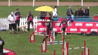 World Dog Agility Open 2013 Games Championship