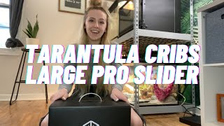 Tarantula Cribs Unboxing + Enclosure Build! 🖤