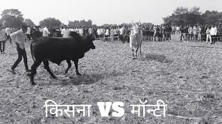 किसना VS मॉन्टी (Win किसना  ):#BullFightMumbai