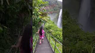 【ハワイ島】フラダンサー必見！アカカフォールズ  Akaka Falls #shorts