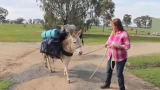 Donkey trekking -  Murray River Corowa NSW Australia, and video on this easy to use pack saddle