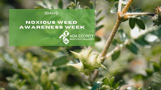 Idaho Noxious Weed Awareness Week