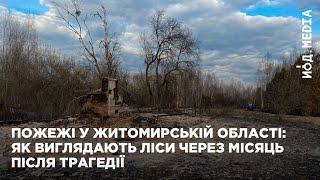 Пожежі у Житомирській області: чорна земля і зруйновані будинки