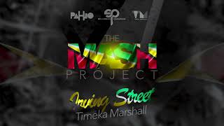 Irving Street - Timeka Marshall - The Mash Project - Shaker HD - Soca 2023