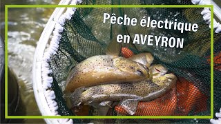 Pêche électrique en Aveyron - Truite fario