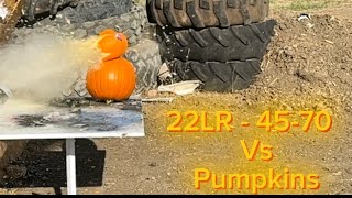 Unlock Your October: Shooting Pumpkins for an Epic Experience 22LR To 45-70!