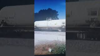 Trains in Clemson, SC (10/09/2014)