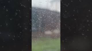 Про такой дождь говорят "raining cats and dogs" 🇬🇧🐱🐕