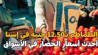 الطماطم النهارده بـ12.50 جنيه في إسنا.. بكم عندكم؟