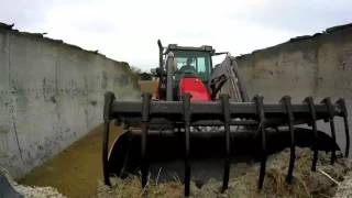 Une petite matinée à la ferme