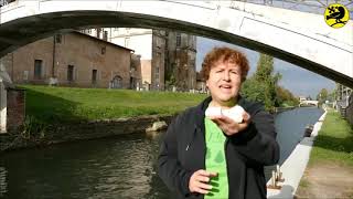 Il Naviglio Grande   scuola secondaria di primo grado