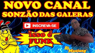 FUNK DAS ANTIGAS SONZÃO DAS GALERAS ZZ @DJMUSTANGOBRABO ​