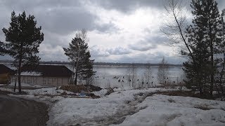 Ловля ельца на Енисее в забоке (08.04.18). Не ловил только ленивый!