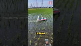 mesin hama jepang #tentangjepang #pertanian #sawah #sejarahjepang #petani #youtube