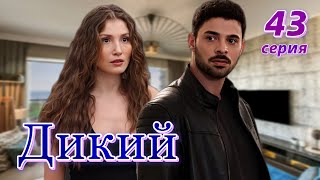 Дикий 43 серия на русском языке. Новый турецкий сериал. Анонс