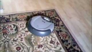 Roomba cleans Den