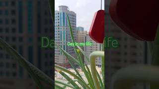 day in my life #youtubeshorts #sharjah #krishnaarun #uae