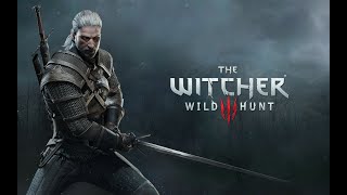 The Witcher 3 Wild Hunt GOTY #2