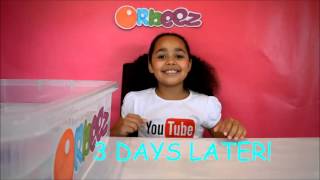 GIANT WATER GROWING FROG   Giant Orbeez   Kids Science Review