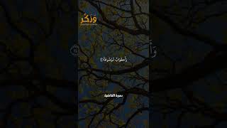 سورة الغاشية الآيات من 10 إلى 18 بصوت القارئ سعد الغامدي #حالات  #quran #قرآن  #shorts