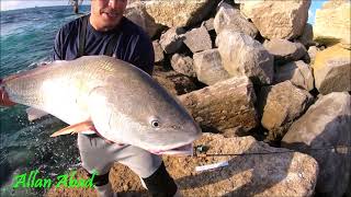 PELEA COMPLETA DE ESTA CORVINA ENORME EN DESTIN, FL\\Allan Abad