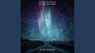 True North (We Saw Lions Remix Instrumental)