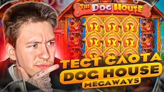 🎰 БОЛЬШОЙ ТЕСТ СЛОТА DOG HOUSE MEGAWAYS - Окупится ли Бонуска? | Дог Хаус | Заносы Недели